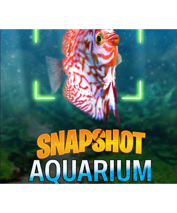 Snapshot Aquarium Steam Key GLOBAL